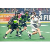 RUSH vs. BLACK WOLVES