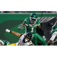 CFL News - December