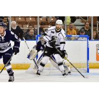 Jordan LaVallee-Smotherman Named ECHL Player of the Week