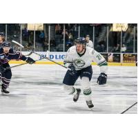 Dziurzynski Loaned to AHL's Utica Comets