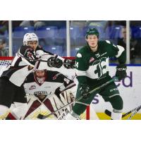 Silvertips Blank