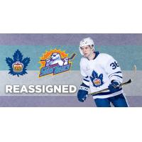 Dzierkals Reassigned to Solar Bears by Marlies