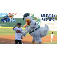 New Birthday Party Packages on Sale January 11