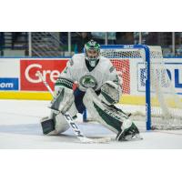 Ouellette Named CCM ECHL Goaltender of the Week