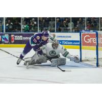 'Blades and Booth Shine in 4-1 Win over Solar Bears