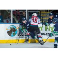 Rockets Face off with the Defending Champs at Prospera Place