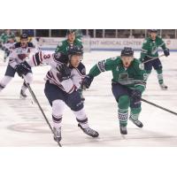 Quick Strike 'Blades Down Rival Stingrays 5-3