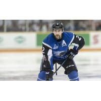 Sea Dogs Name Bailey Webster New Captain