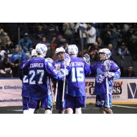 Knighthawks to Take on East Division Foes on Back-To-Back Nights