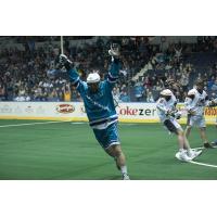 Knighthawks Activate Forward Dan Lomas