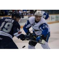 SEA DOGS END ROAD TRIP WITH LOSS INRIMOUSKI