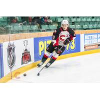 Prince George Cougars