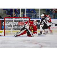 Giants Fall 2-0 to Winterhawks at Home Saturday