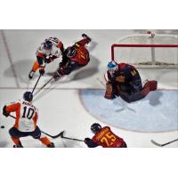 Firebirds Unable to Solve DiPietro, Fall in Windsor 1-0 Sunday