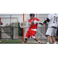 Cannons Add 11 from Supplemental Draft; Trade for All-Star James Pannell