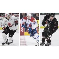 The CHL Hockey Insider