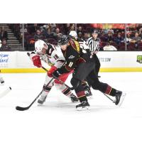 Cleveland Monsters vs. Grand Rapids Griffins