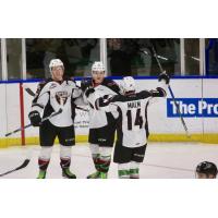 Vancouver Giants Celebrate A Goal