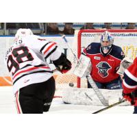 Kitchener Rangers Goaltender Mario Culina vs. the Niagara IceDogs