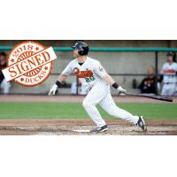 Long Island Ducks Outfielder Lew Ford