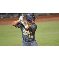 Florida International University Outfielder Juan Teixeria