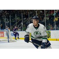 Florida Everblades in Action