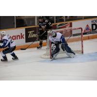 Saint John Sea Dogs Goalie Alex D'Orio vs. Cape Breton