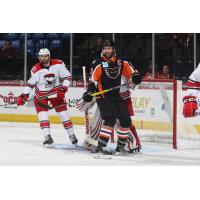 Greg Carey of the Lehigh Valley Phantoms