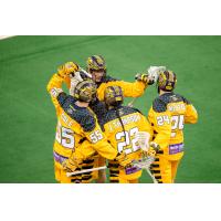 Georgia Swarm Celebrates