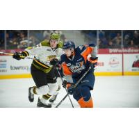 Flint Firebirds vs. the North Bay Battalion