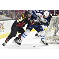 Cleveland Monsters Fight for the Puck vs. the Manitoba Moose