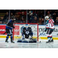 Kelowna Rockets Take a Shot on the Victoria Royals