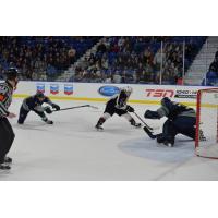 Ty Ronning of the Vancouver Giants Looks for an Opening against the Seattle Thunderbirds