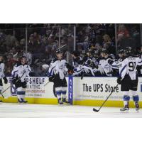 Idaho Steelheads Celebrate