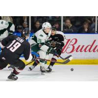 Vancouver Giants vs. the Everett Silvertips