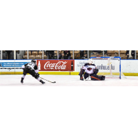 Matt Marcinew of the Manchester Monarchs Scores against the South Carolina Stingrays