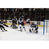 Idaho Steelheads Forward Henrik Samuelsson vs. the Utah Grizzlies