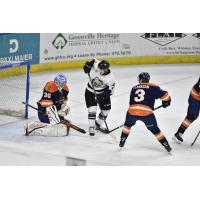 Greenville Swamp Rabbits vs. the Jacksonville IceMen