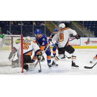 Lehigh Valley Phantoms Goaltender Dustin Tokarski Stuffs the Bridgeport Sound Tigers