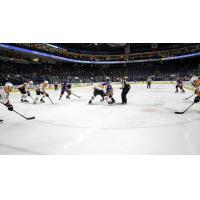 Lehigh Valley Phantoms vs. the Bridgeport Sound Tigers