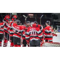 Ottawa 67's Celebrate