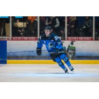 Lincoln Stars Forward Zach Dubinsky