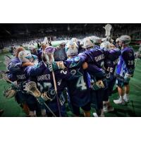 Rochester Knighthawks Team Huddle