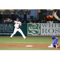 York Revolution Infielder Alexi Casilla