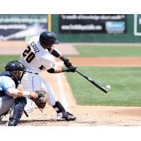 York Revolution Catcher Luis Cruz