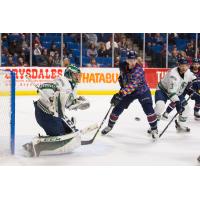 Tulsa Oilers vs. the Florida Everblades