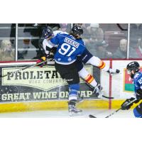 Charlie Dodero of the Idaho Steelheads Crushes a Colorado Eagle