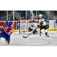 Vancouver Giants Goaltender David Tendeck Handles an Edmonton Oil Kings Shot