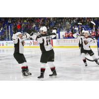 Vancouver Giants Celebrate a Goal