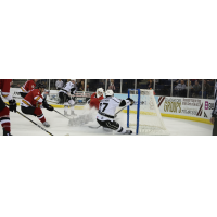 Manchester Monarchs Goaltender Matt Leitner Fends off the Atlanta Gladiators